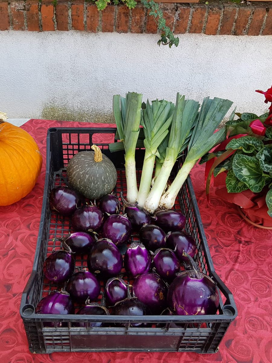 Cassetta di verdure appena raccolte